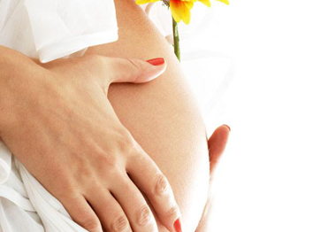 D套餐：供/自卵助孕托管服务方案