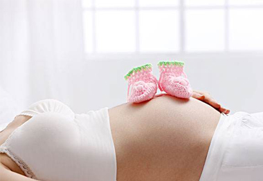 E套餐：零风险包成功不选性别方案