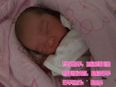 春天移植，冬天收获！恭喜X女士，母子平安！