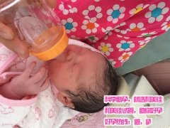 多囊卵巢造就不孕 试管婴儿来送子