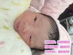 高龄程女士成功助孕