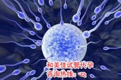 为什么囊胚活检部分胚胎染色体异常